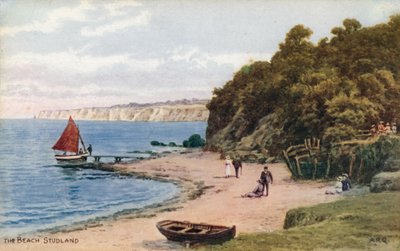 La spiaggia, Studland da Alfred Robert Quinton